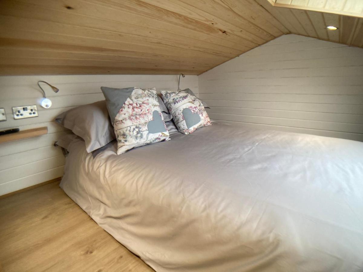 The Cedar Tiny House Villa Coldingham Exteriör bild